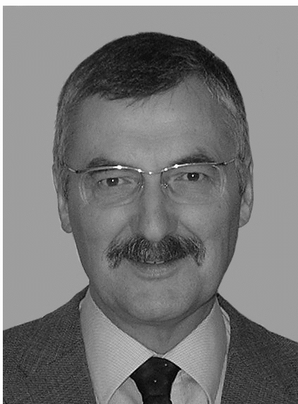 picture of Prof. Dr. Volker Schmidt