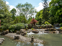 Impressionen vom japanischen Frühlingsfest im Botanischen Garten Augsburg