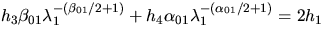 $h_3 \beta_{01} \lambda_1^{-\left(\beta_{01}/2+1\right)}
+ h_4 \alpha_{01} \lambda_1^{-\left( \alpha_{01}/2+1\right)}
 = 2h_1$