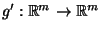 $ g^\prime:\mathbb{R}^m\to\mathbb{R}^m$
