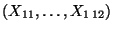 $ (X_{11},\ldots,X_{1\,12})$