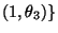 $ (1,\theta_3)\}$