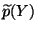$ \widetilde p(Y)$