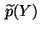 $ \,\widetilde p(Y)$