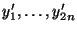 $ y^\prime_1,\ldots,y^\prime_{2n}$