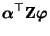 $\displaystyle {\boldsymbol{\alpha}}^\top{\mathbf{Z}}{\boldsymbol{\varphi}}$