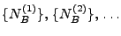 $ \{N_B^{(1)}\},\,\{N_B^{(2)}\},\,\ldots$