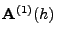 $ {\mathbf{A}}^{(1)}(h)$