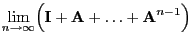 $\displaystyle \lim\limits_{n\to\infty}
\Bigl({\mathbf{I}}+{\mathbf{A}}+\ldots+{\mathbf{A}}^{n-1}\Bigr)$