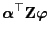 $\displaystyle {\boldsymbol{\alpha}}^\top{\mathbf{Z}}{\boldsymbol{\varphi}}$