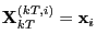 $ {\mathbf{X}}_{kT}^{(kT,i)} = {\mathbf{x}}_i$