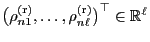 $ \bigl(\rho_{n1}^{\rm (r)},\ldots,\rho_{n\ell}^{\rm (r)}\bigr)^\top\in\mathbb{R}^\ell$