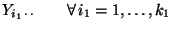 $\displaystyle Y_{i_1\,\cdot\,\cdot} \qquad \forall\, i_1=1,\ldots,k_1$