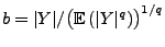 $ b=\vert Y\vert/\bigl({\mathbb{E}\,}(\vert Y\vert^q)\bigr)^{1/q}$