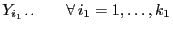 $\displaystyle Y_{i_1 \cdot \cdot} \qquad \forall  i_1=1,\ldots,k_1$