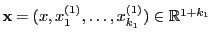 $ {\mathbf{x}}=(x,x^{(1)}_1,\ldots,x^{(1)}_{k_1})\in\mathbb{R}^{1+k_1}$
