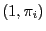 $ (1,\pi_i)$