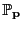 $ \mathbb{P}_{\mathbf{p}}$