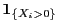 $ {\bf 1}_{\{X_i>0\}}$