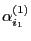$ \alpha^{(1)}_{i_1}$
